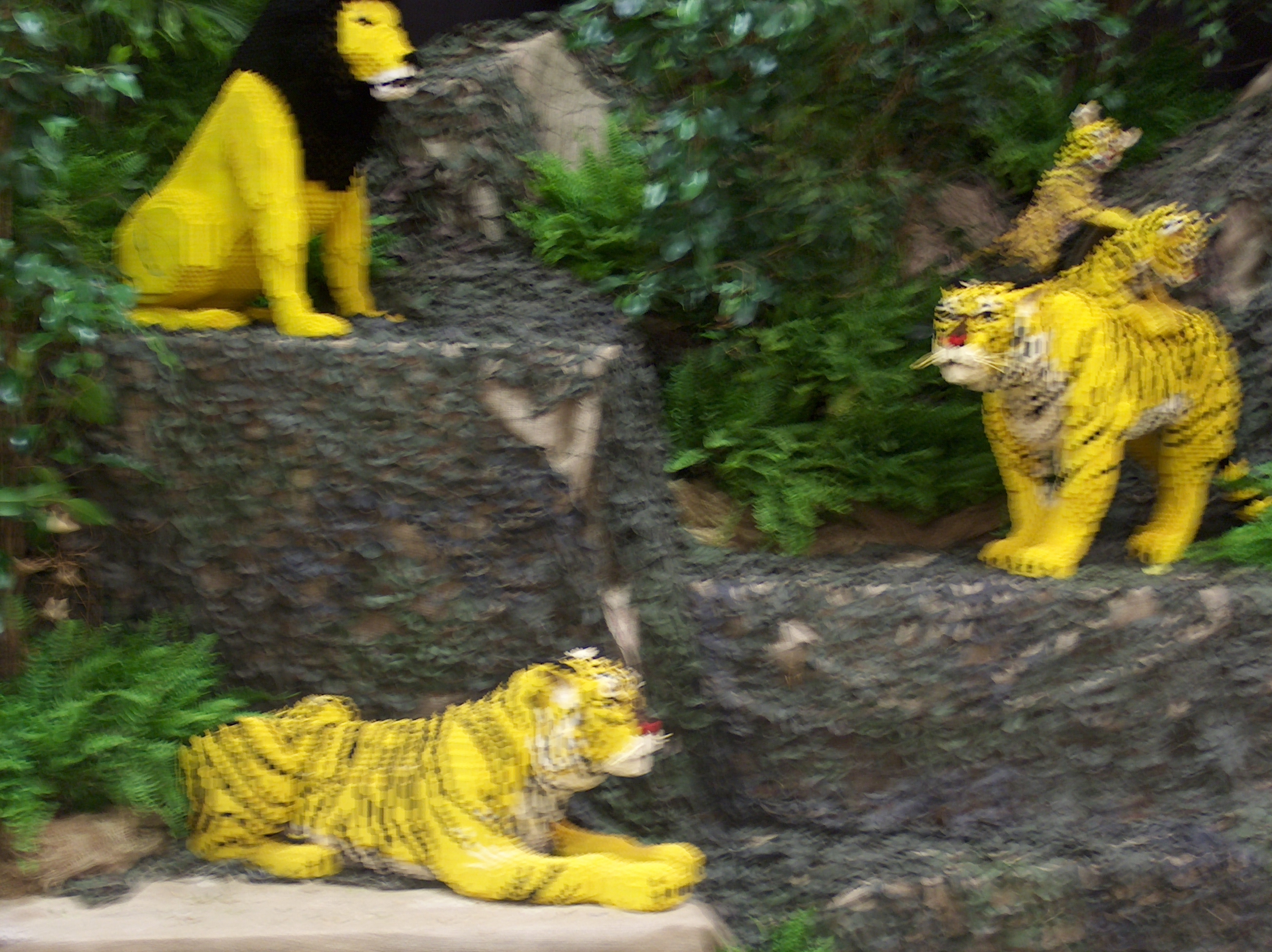 123.jpg