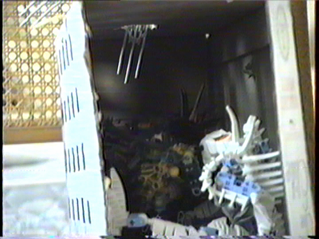 grabbed_frame_8.jpg