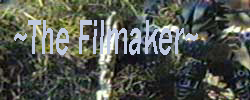 the_filmaker.jpg