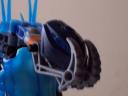 amphilus-head-closeup.jpg