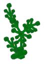 SeatronPlants
