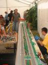 tsl2004077.jpg