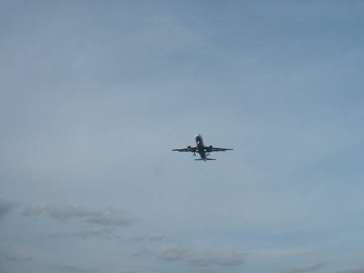 tsl200577.jpg