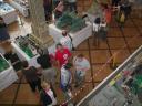 tsl2006_tretty286.jpg