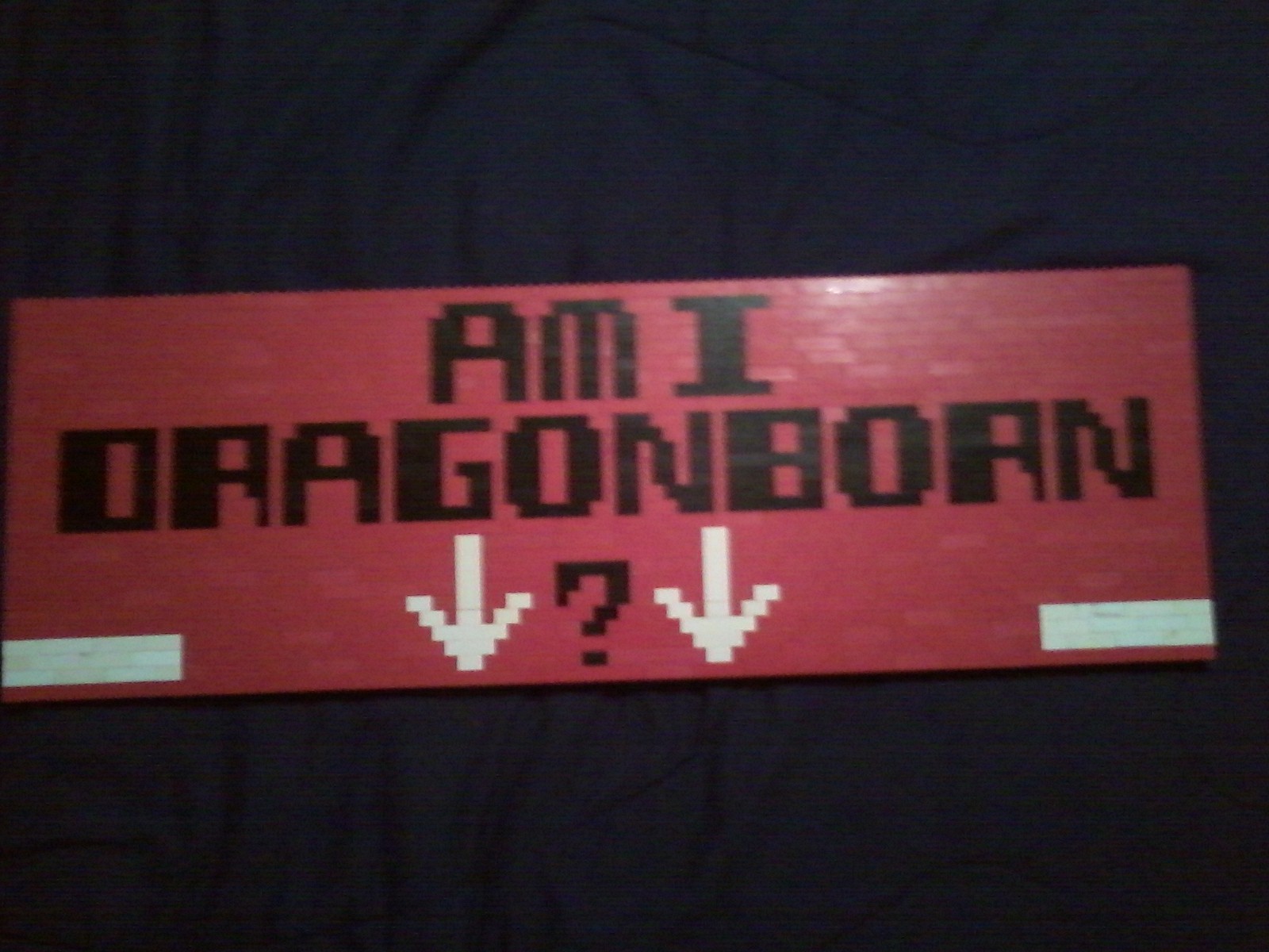 lego_am_i_dragonborn_joke_sign_02.jpg