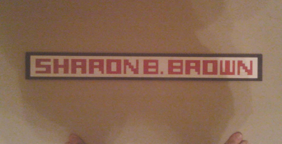 lego_sharon_b_brown.jpg