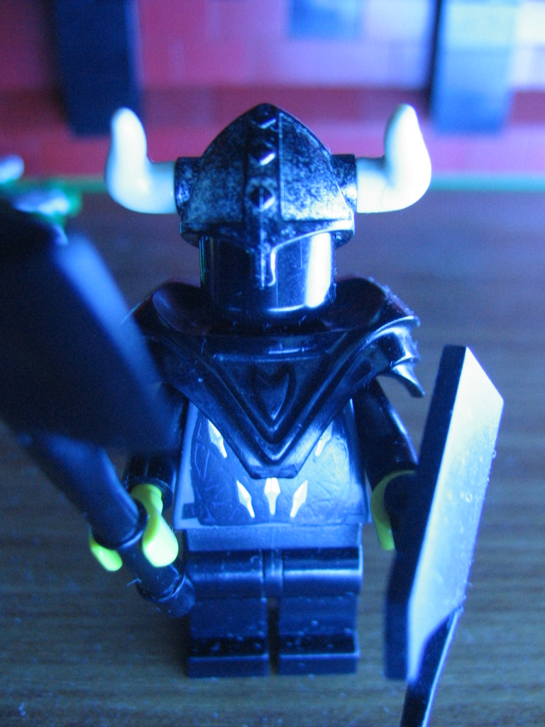 drow_spiderguard_2.jpg