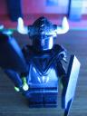 drow_spiderguard_2.jpg