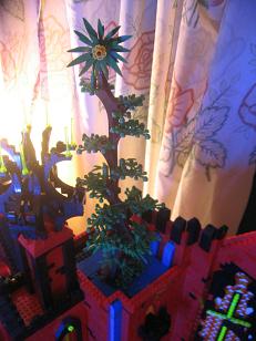 tall-tree-04.jpg