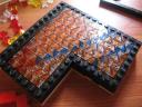 cheese-floor.jpg