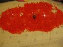 lava-test-01.jpg