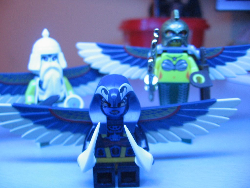 wings.jpg