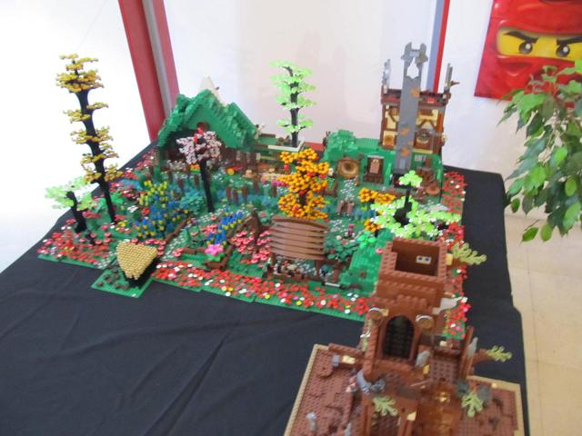 dkc14-33.jpg
