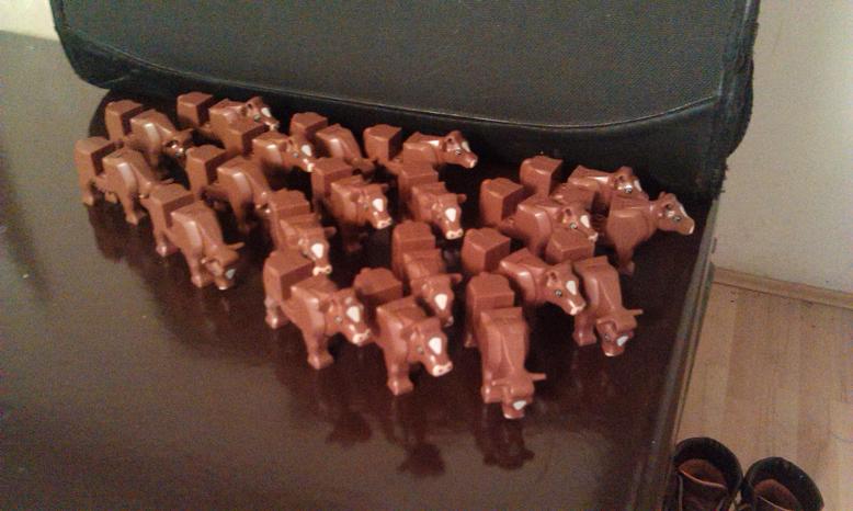cows.jpg