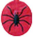 spiderang.png