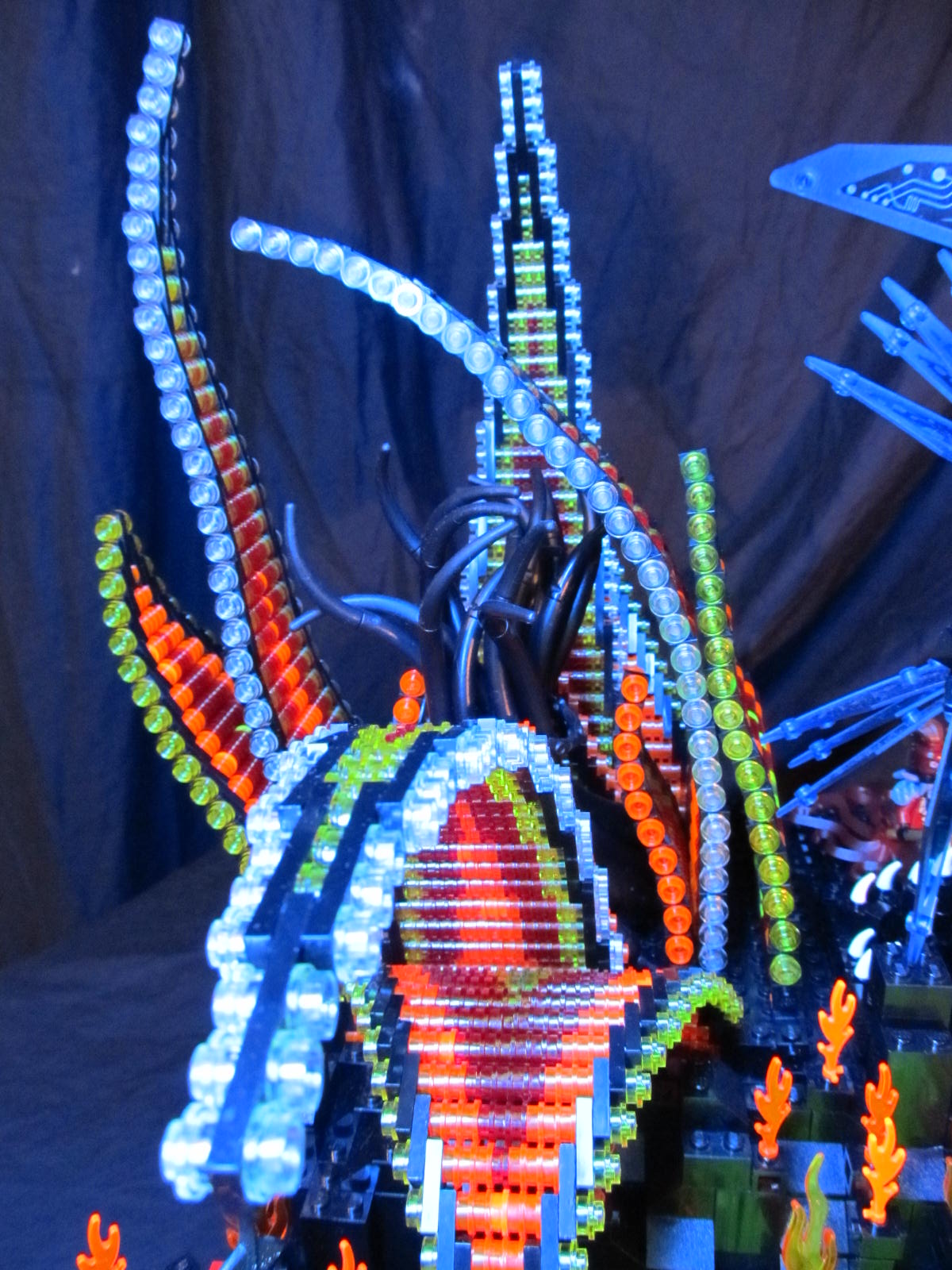 anemone-04.jpg