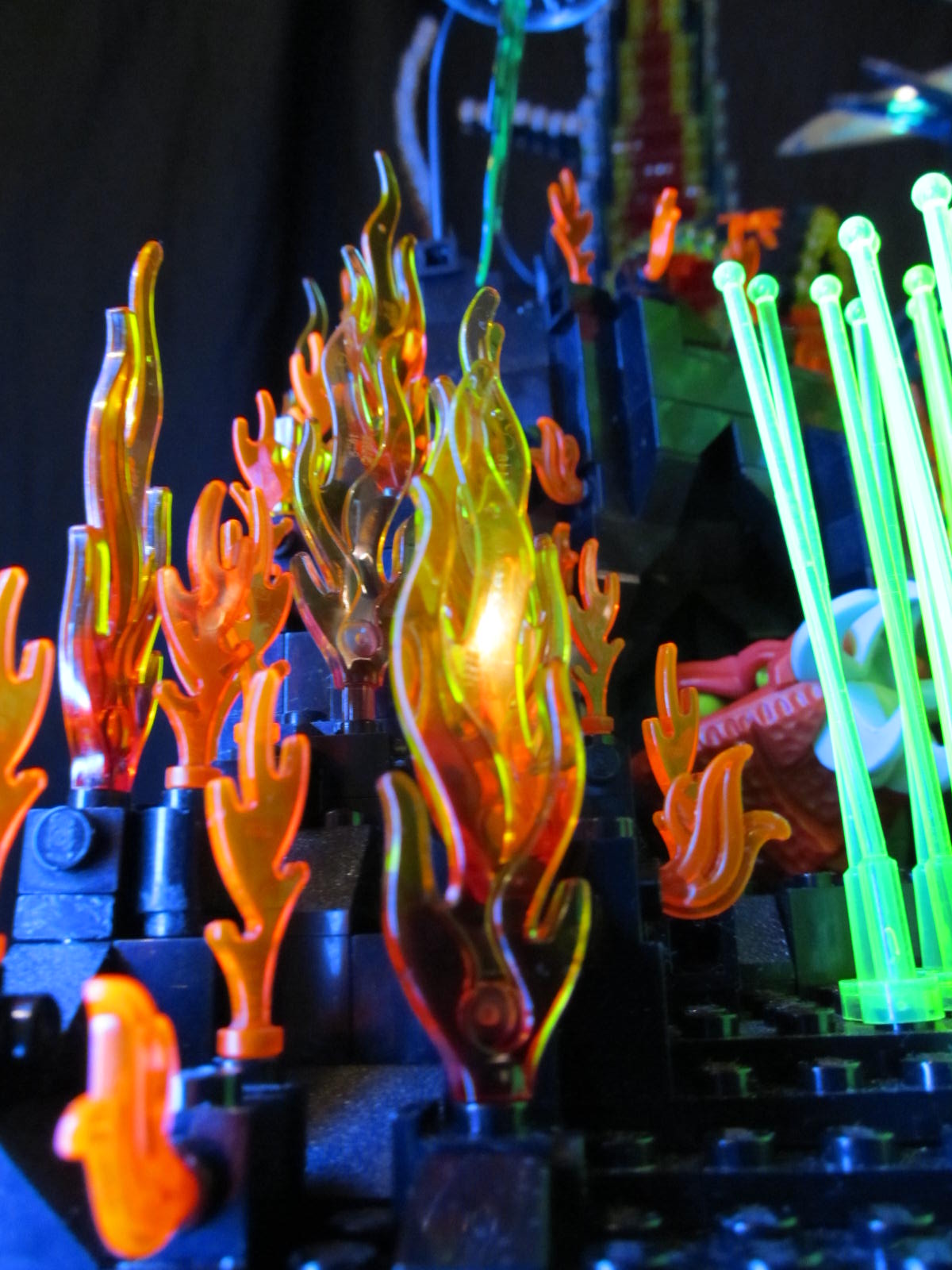sea-plants-01.jpg