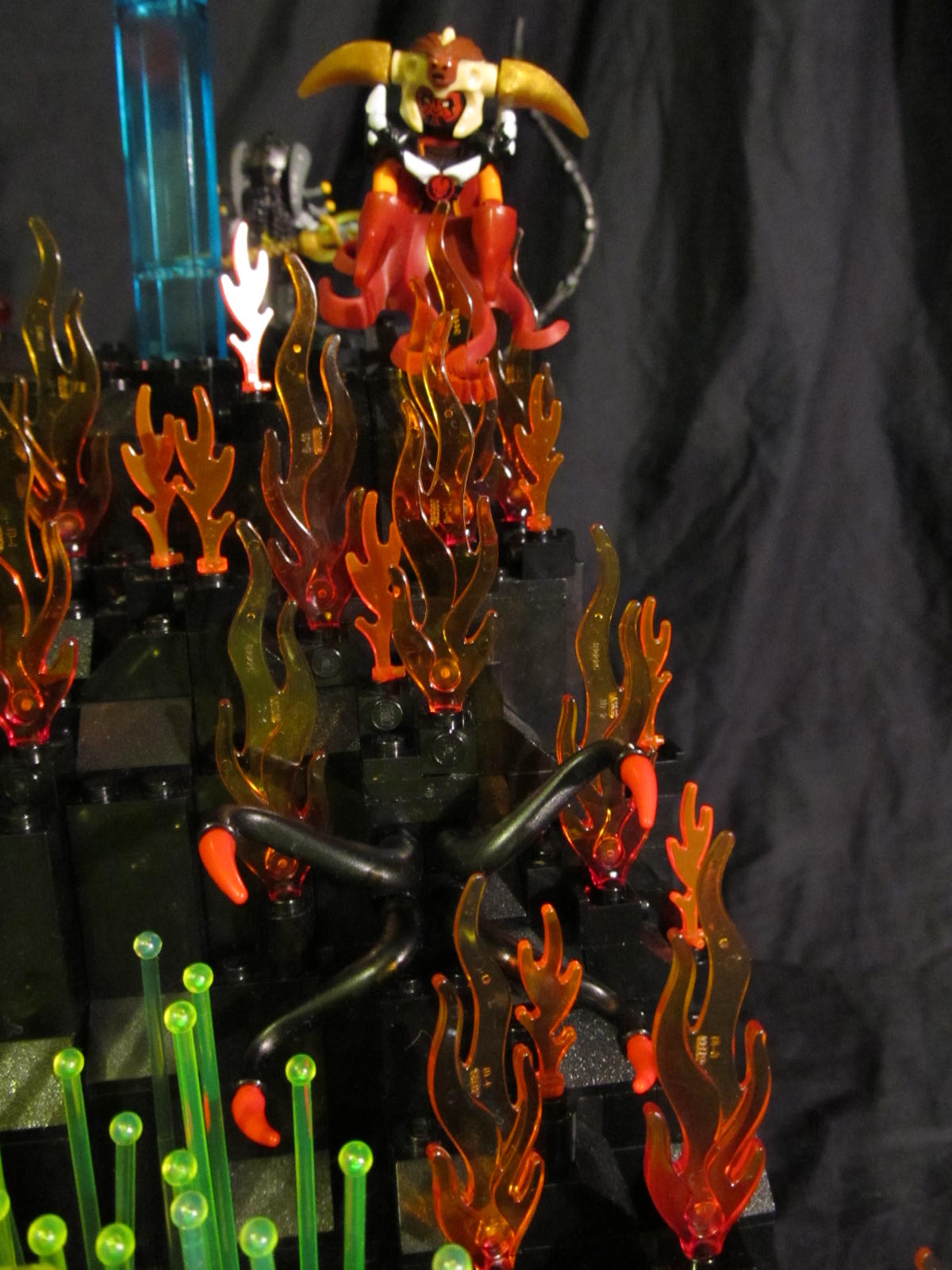 sea-plants-02.jpg
