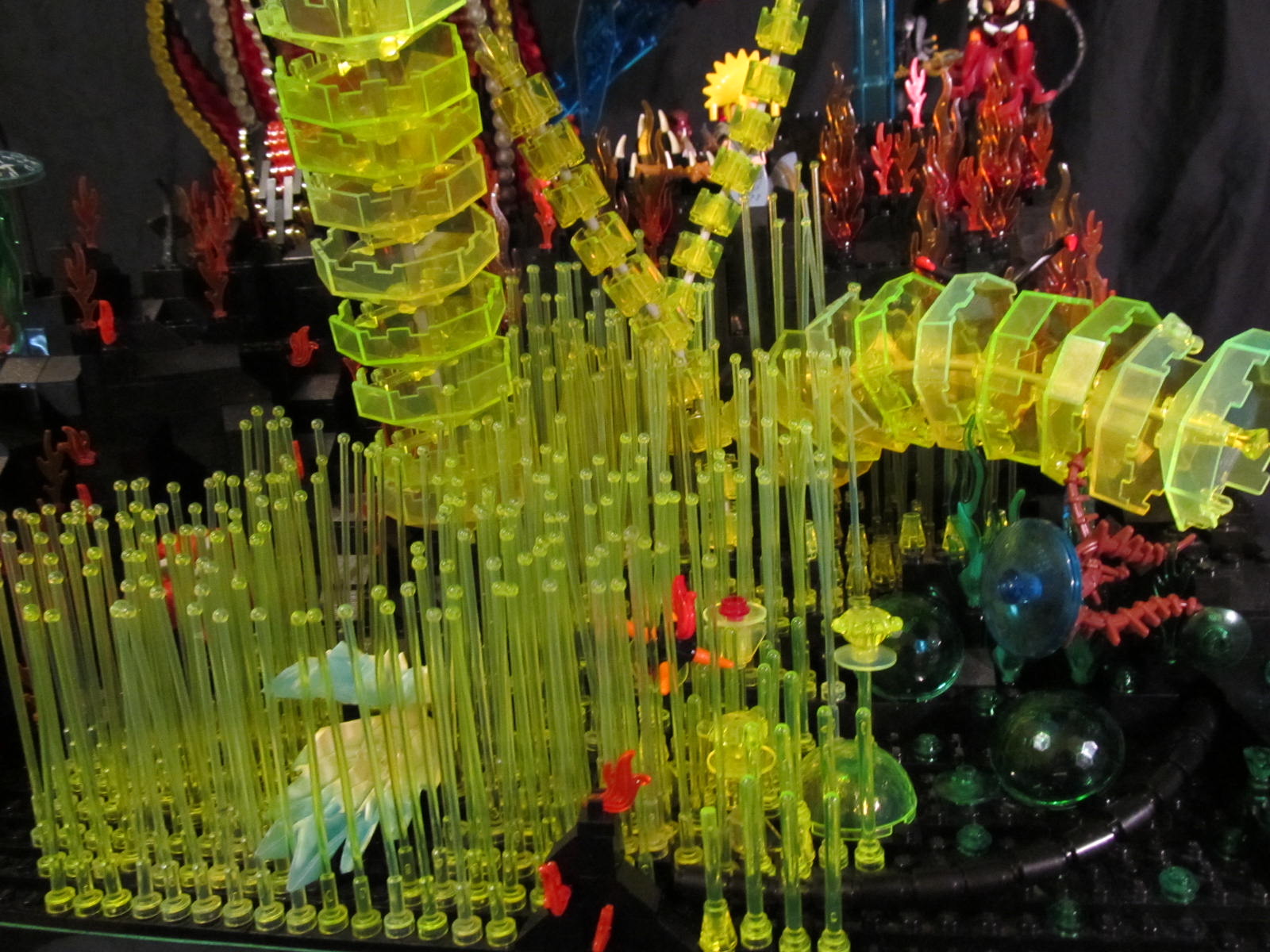 seaweed-01.jpg