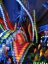 anemone-03.jpg