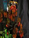 sea-plants-02.jpg
