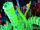 seaweed-03.jpg
