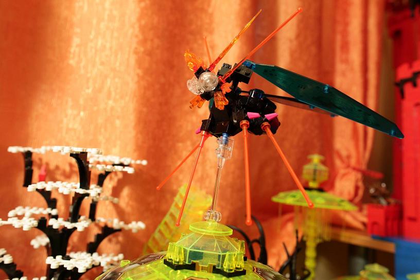 sword_coast_moth.jpg