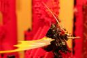 sword_coast_dark_dragon.jpg