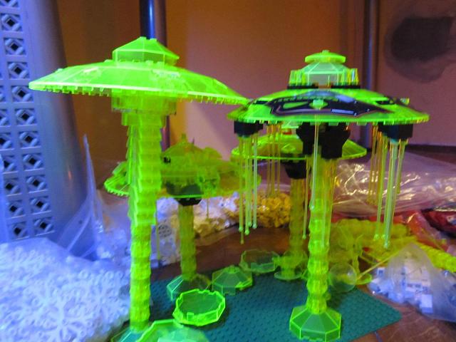 mushroom-05.jpg