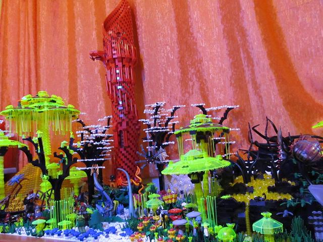 swamp-39.jpg