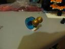 snail.jpg