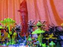 swamp-39.jpg