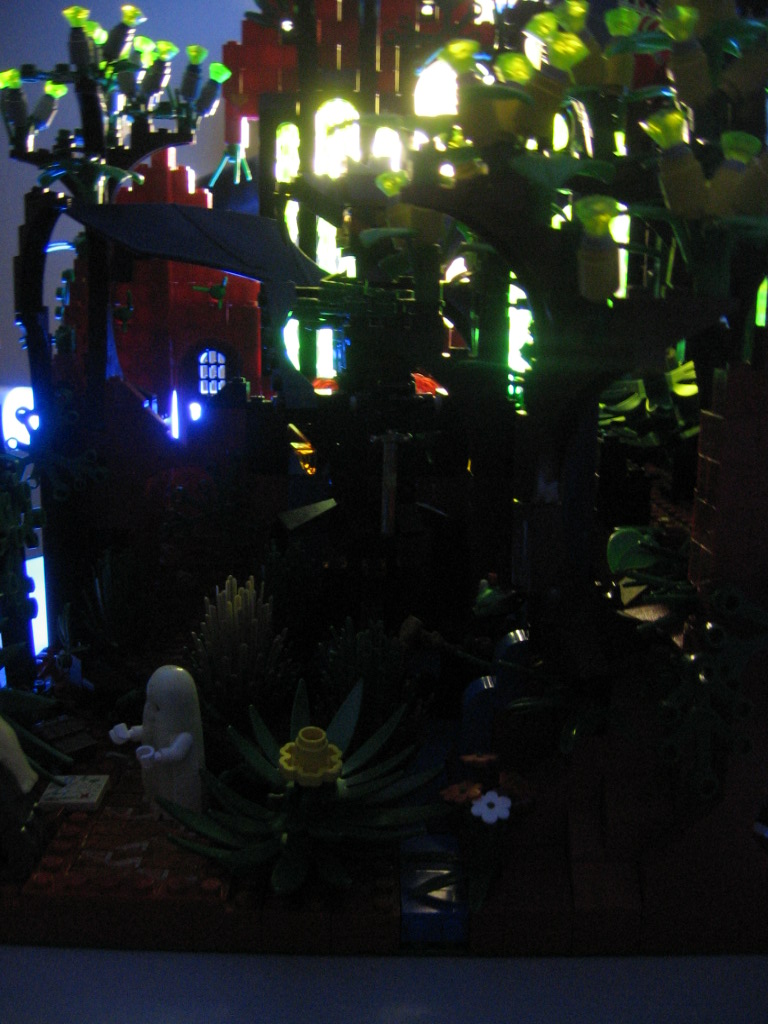 tree-night.jpg