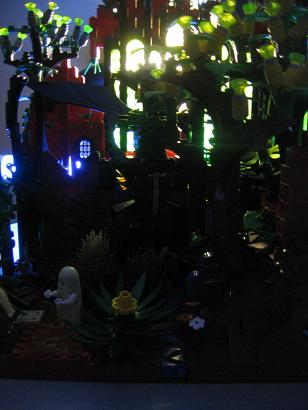 tree-night.jpg