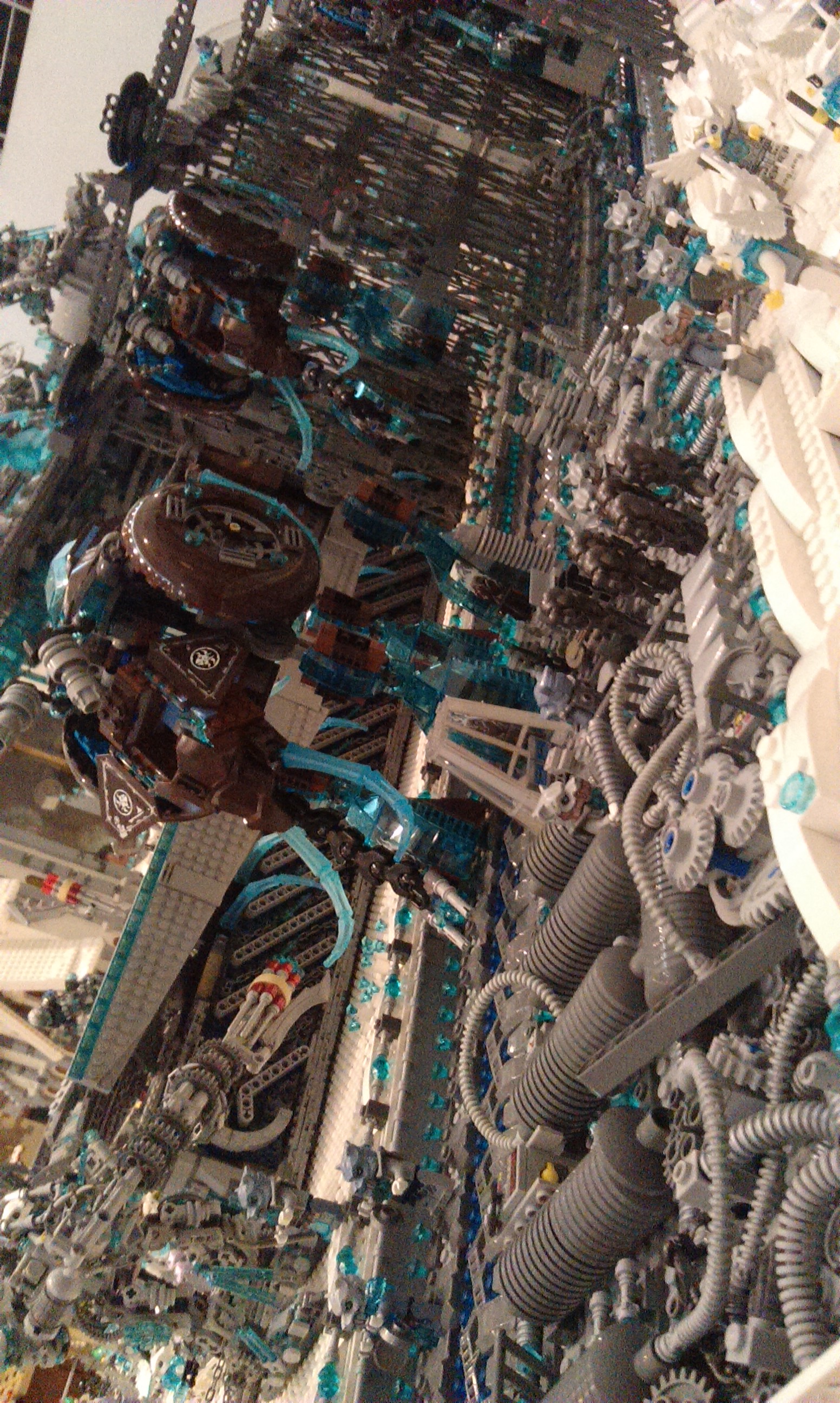 imag0766.jpg