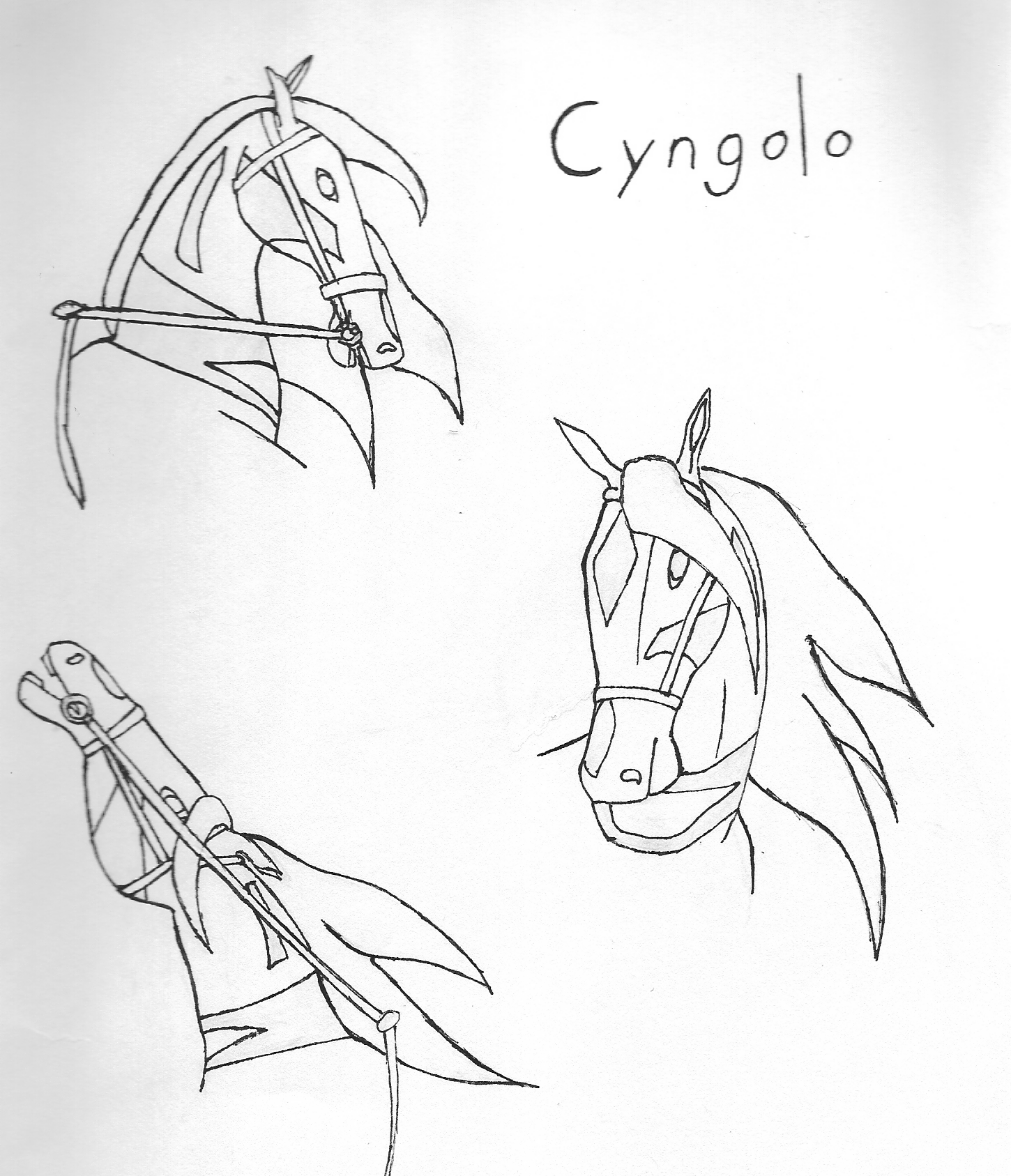 cyngolo.png