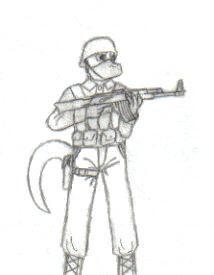 43.jpg