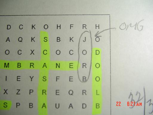 080422062100.jpg