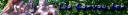 banner-for-star-saber.gif