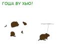 gosha.png