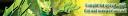 gresh_banner.png