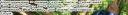 sontar_banner.png