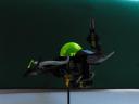 2008_0418lego0188.jpg