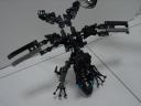 makuta_hawk.jpg
