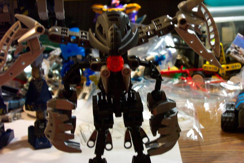 makuta1.jpg