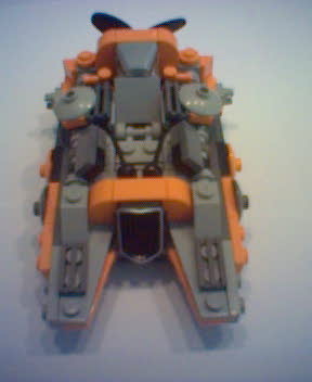 procyon_3.jpg