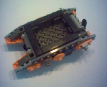 procyon_6.jpg