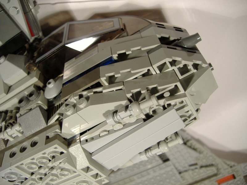 moth_details_03.jpg