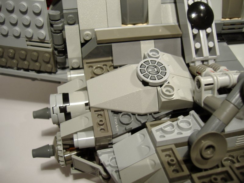 moth_details_06.jpg