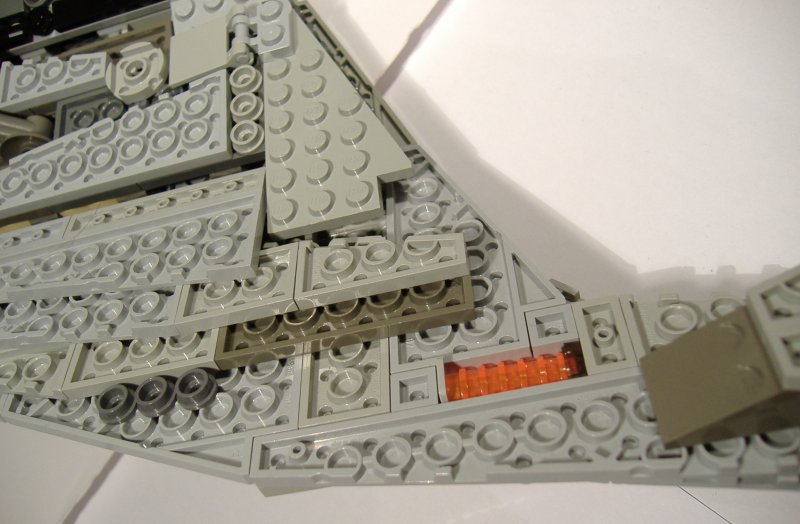 moth_details_07.jpg